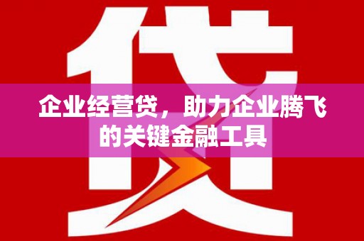康县企业经营贷，助力企业腾飞的关键金融工具