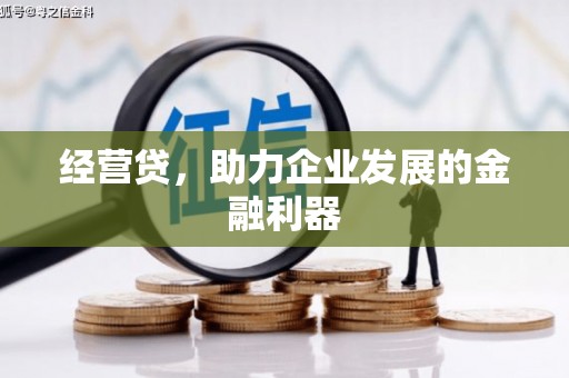 康县经营贷，助力企业发展的金融利器