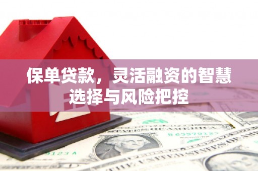 康县保单贷款，灵活融资的智慧选择与风险把控
