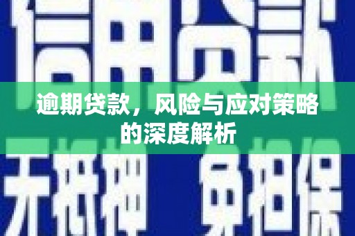 康县逾期贷款，风险与应对策略的深度解析