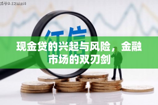 康县现金贷的兴起与风险，金融市场的双刃剑
