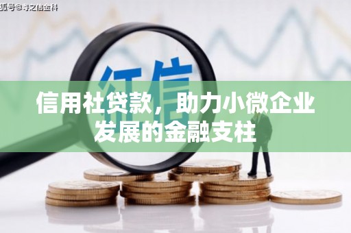 康县信用社贷款，助力小微企业发展的金融支柱