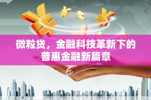 康县微粒贷，金融科技革新下的普惠金融新篇章