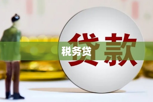 康县税务贷