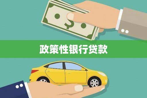 康县政策性银行贷款