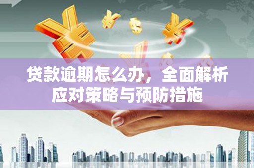 康县贷款逾期怎么办，全面解析应对策略与预防措施