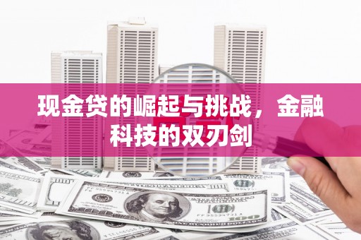 康县现金贷的崛起与挑战，金融科技的双刃剑