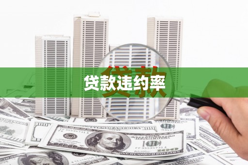 康县贷款违约率