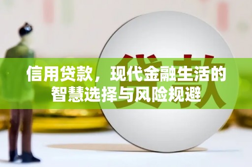 康县信用贷款，现代金融生活的智慧选择与风险规避