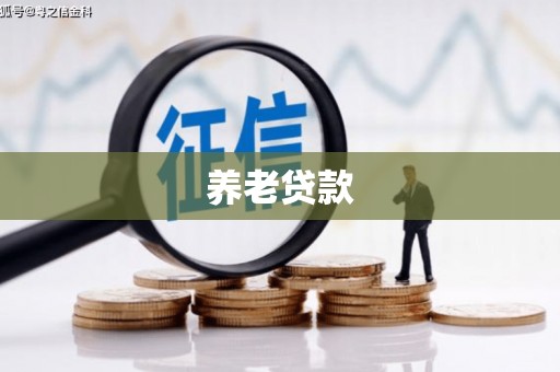 康县养老贷款