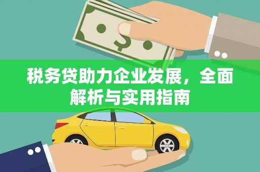 康县税务贷助力企业发展，全面解析与实用指南