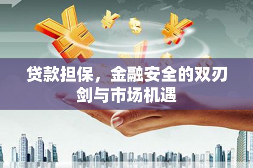 康县贷款担保，金融安全的双刃剑与市场机遇