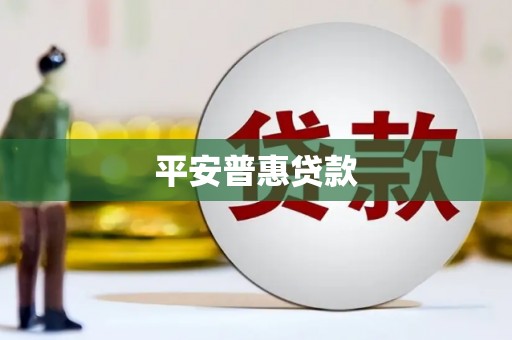 康县平安普惠贷款