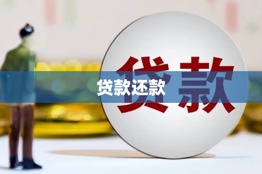 康县贷款还款