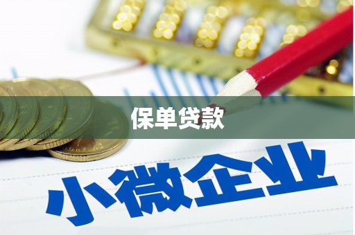 康县保单贷款