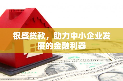 康县银盛贷款，助力中小企业发展的金融利器