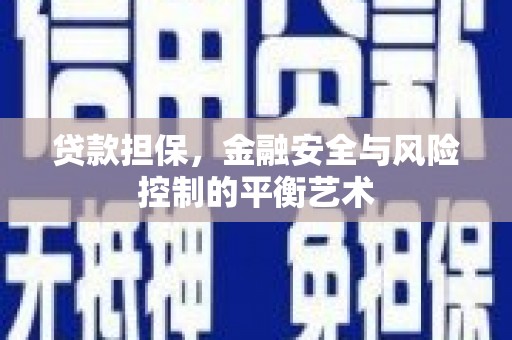 康县贷款担保，金融安全与风险控制的平衡艺术