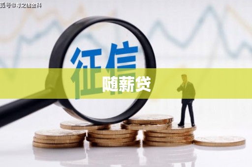 康县随薪贷