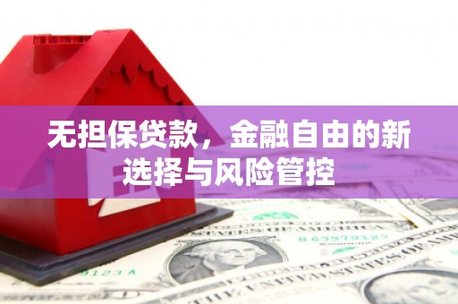 康县无担保贷款，金融自由的新选择与风险管控