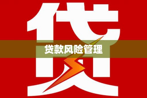康县贷款风险管理
