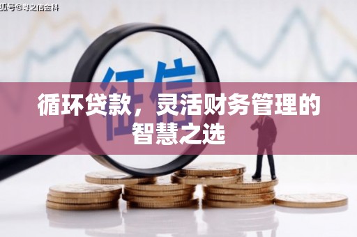 康县循环贷款，灵活财务管理的智慧之选