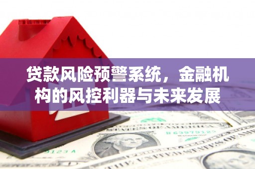 康县贷款风险预警系统，金融机构的风控利器与未来发展