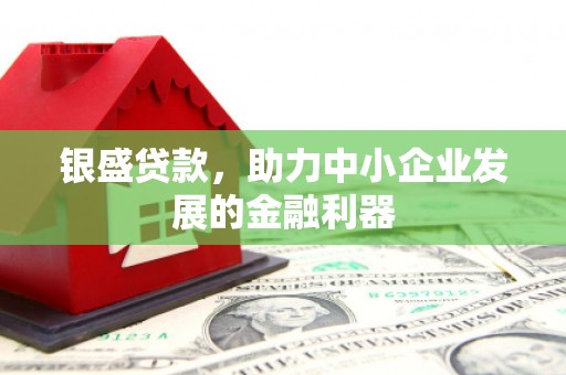 康县银盛贷款，助力中小企业发展的金融利器
