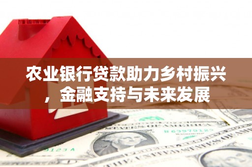 康县农业银行贷款助力乡村振兴，金融支持与未来发展