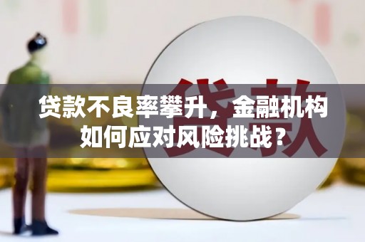 康县贷款不良率攀升，金融机构如何应对风险挑战？