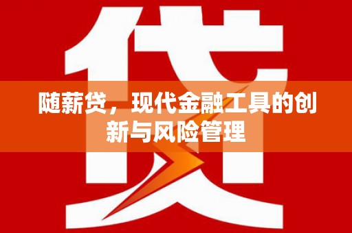 康县随薪贷，现代金融工具的创新与风险管理
