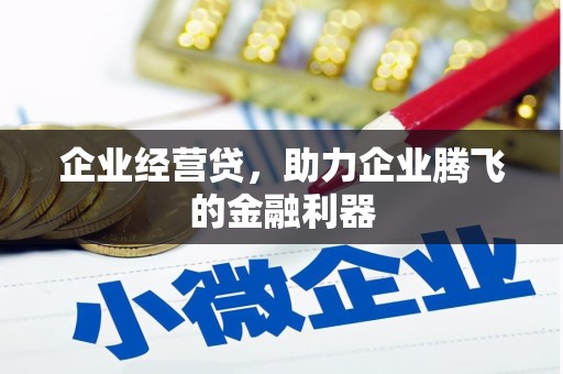 康县企业经营贷，助力企业腾飞的金融利器