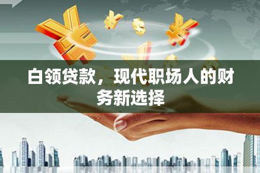 康县白领贷款，现代职场人的财务新选择