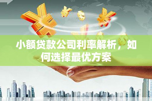 康县小额贷款公司利率解析，如何选择最优方案