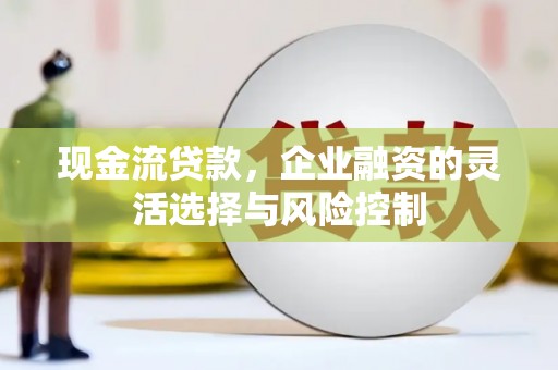 康县现金流贷款，企业融资的灵活选择与风险控制