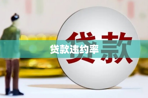 康县贷款违约率
