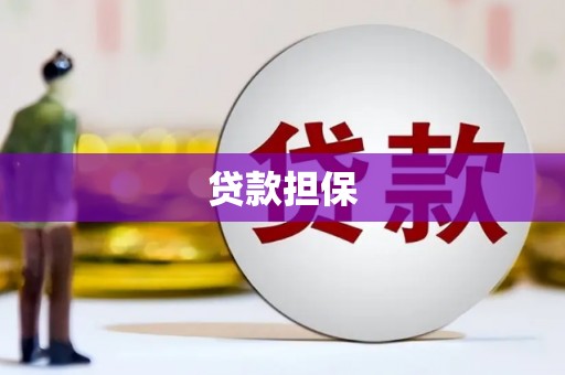 康县贷款担保