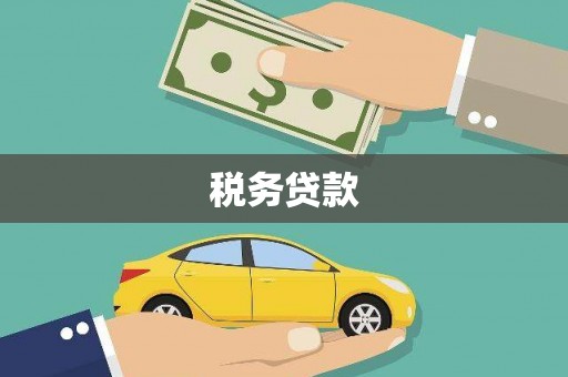 康县税务贷款
