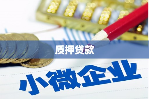 康县质押贷款