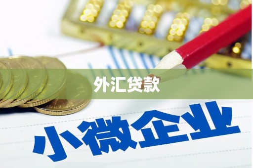 康县外汇贷款