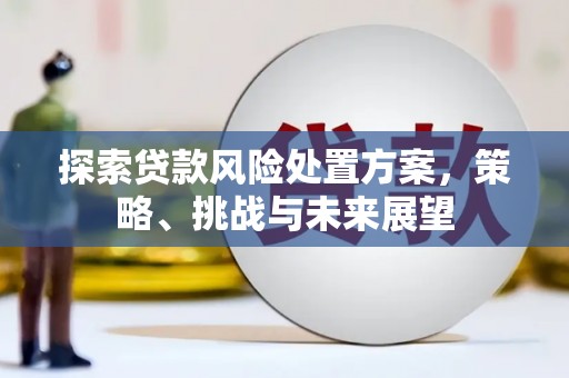 康县探索贷款风险处置方案，策略、挑战与未来展望