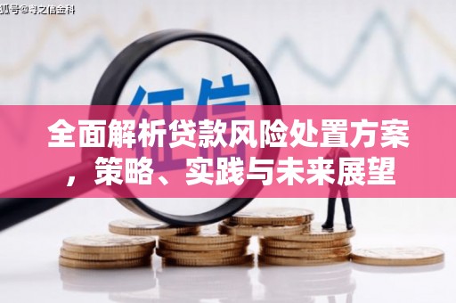 康县全面解析贷款风险处置方案，策略、实践与未来展望
