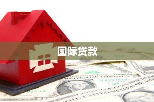 康县国际贷款
