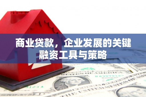 康县商业贷款，企业发展的关键融资工具与策略