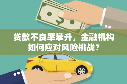 康县贷款不良率攀升，金融机构如何应对风险挑战？