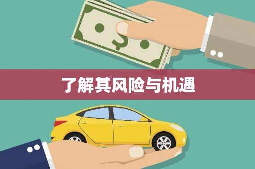康县了解其风险与机遇