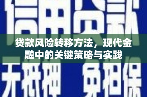 康县贷款风险转移方法，现代金融中的关键策略与实践