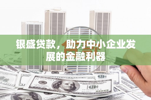 康县银盛贷款，助力中小企业发展的金融利器