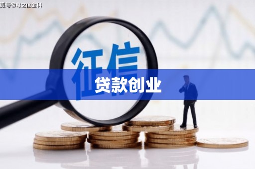 康县贷款创业