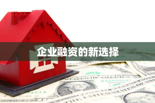 康县企业融资的新选择