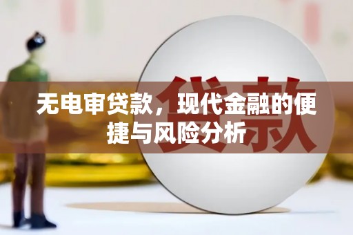 康县无电审贷款，现代金融的便捷与风险分析